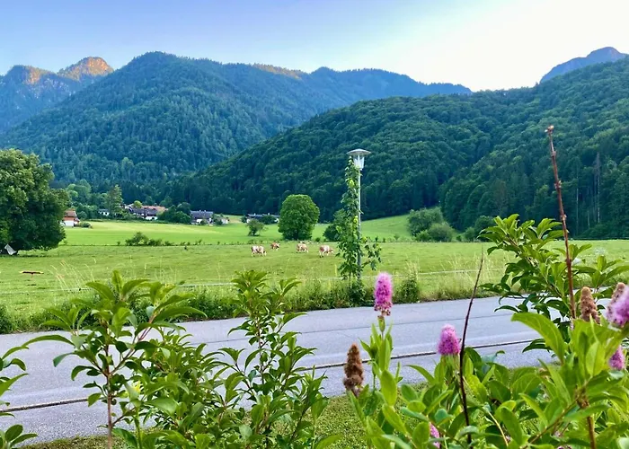Bergnest Appartement *