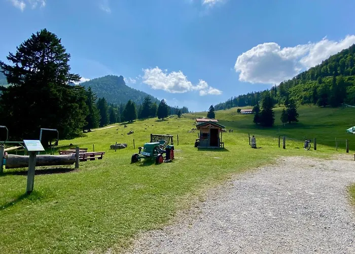 Bergnest Appartement