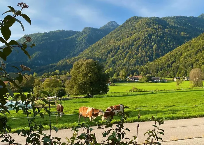 Bergnest Appartement Schleching